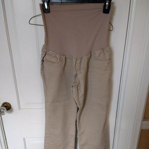 Maternity Dress Pants